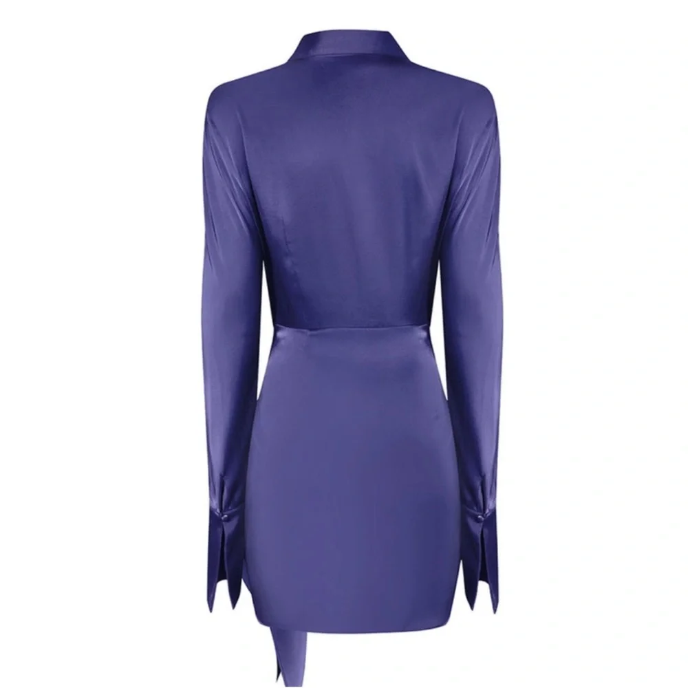 Rat & Boa Alanis Dress Blue - Picture 4 of 6